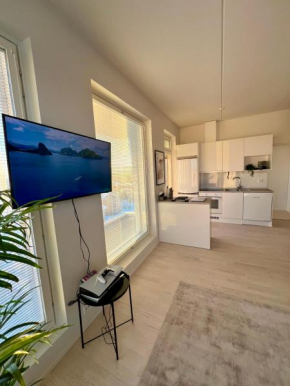 New 3-Bed Apartment & Free Garage parking